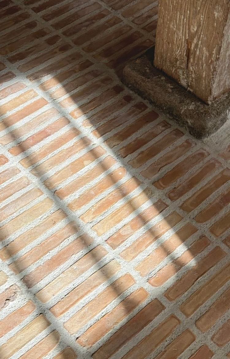 Terracotta floor tiles in raking sunlight
